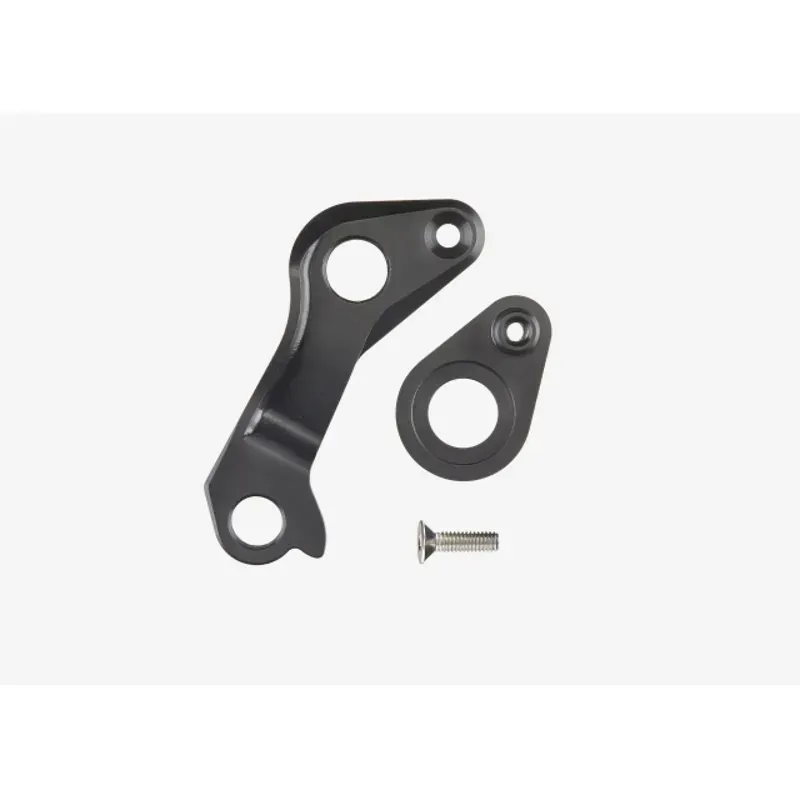 ディレイラーハンガー Pinarello Direct Mount QR 2011-1596576-0-image-1970123.