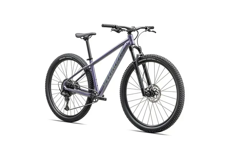 Specialized Rockhopper Comp Mountain Bike in Mauve/Fjord-1