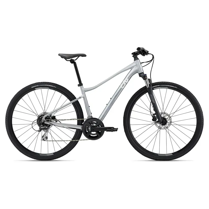 Liv Rove 3 Disk Hybrid Bike in Silver