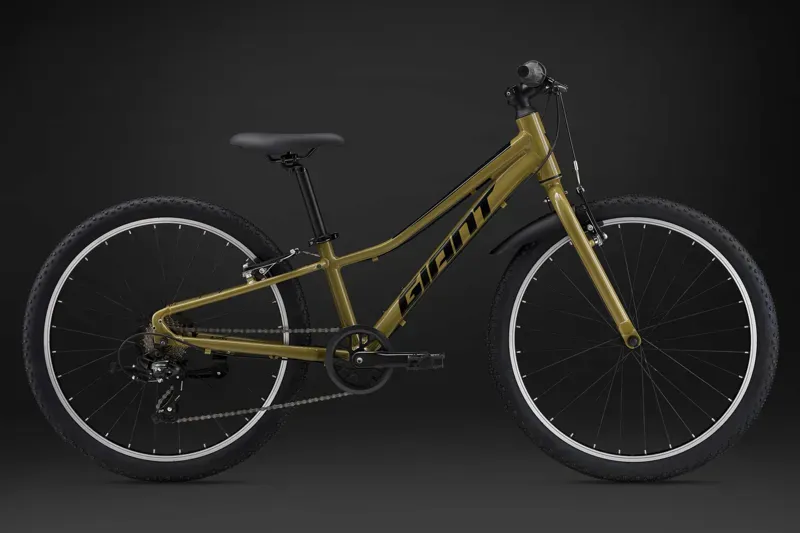 Giant Talon 24 Lite Kids' Mountain Bike in Dried Herb-1