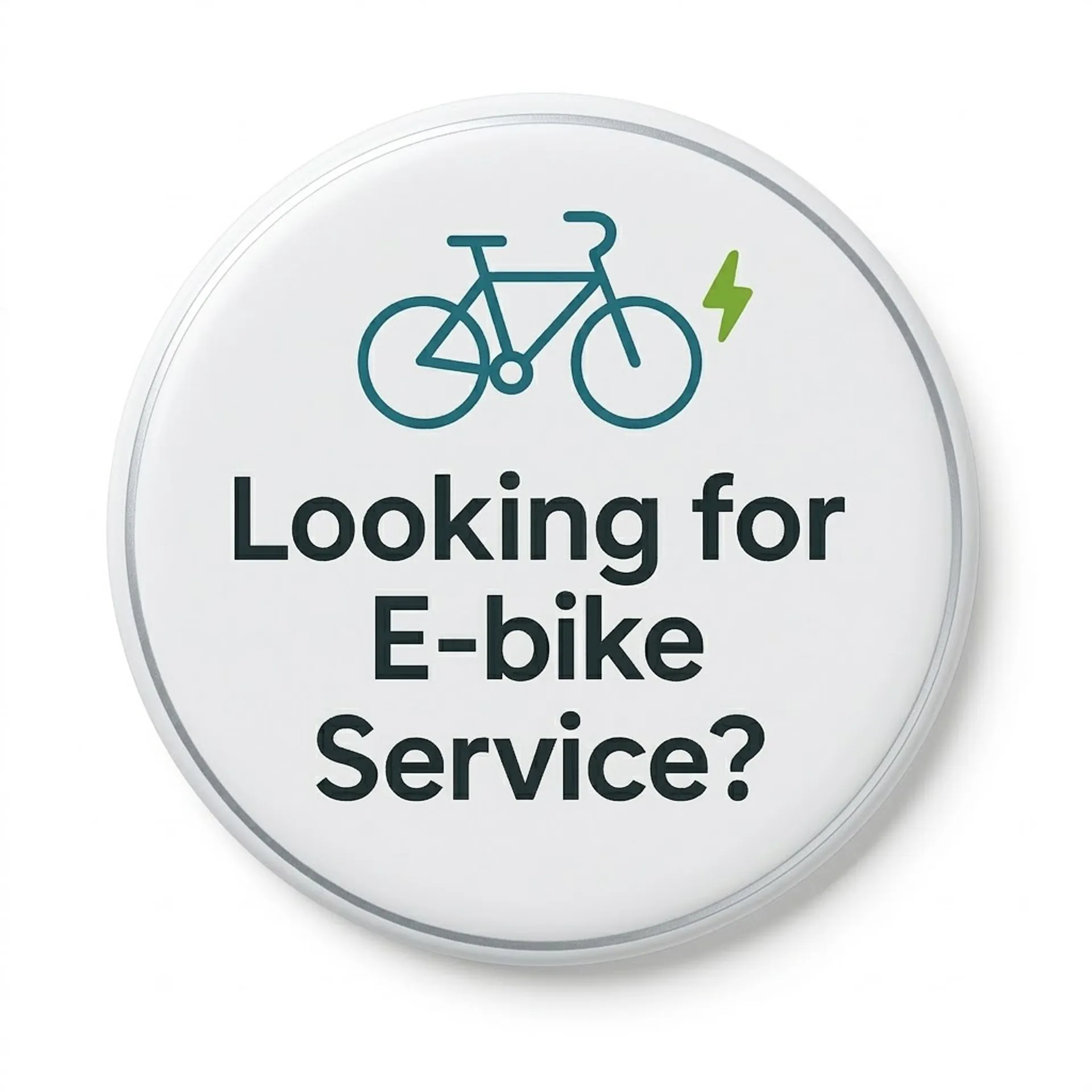 Looking for E-bike Service?