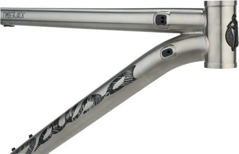 Salsa Timberjack Ti Frame Titanium-2