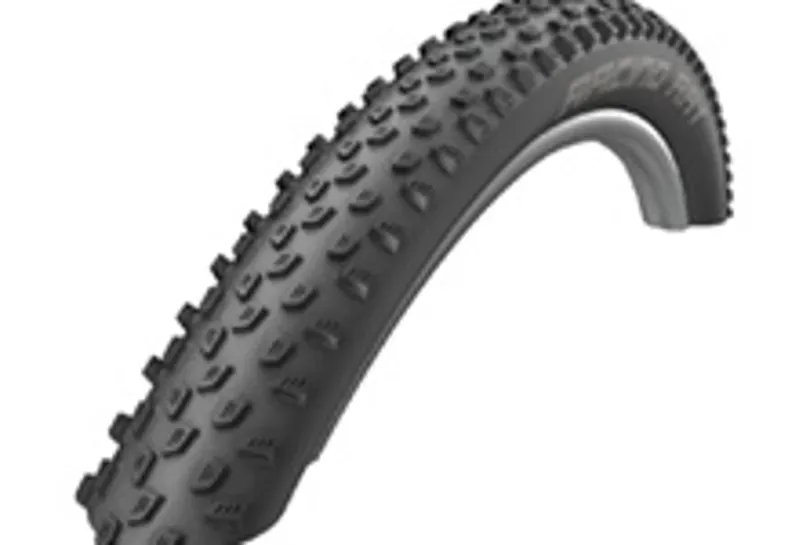 Schwalbe Racing Ray Tire - 29 X 2.25 Tubeless Folding Black Performance Line TwinSkin Addix Black 29 x 2.25-1