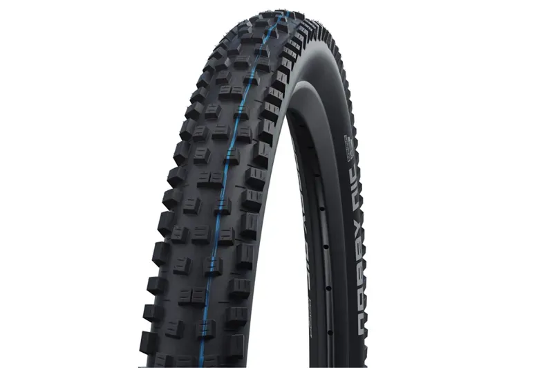 Tire 29x2.25 Schw Nobby Nic Evo SG TLE
