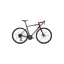 Specialized Allez Road Bike in Maroon